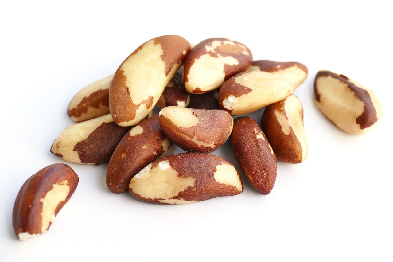 Brazil Nut